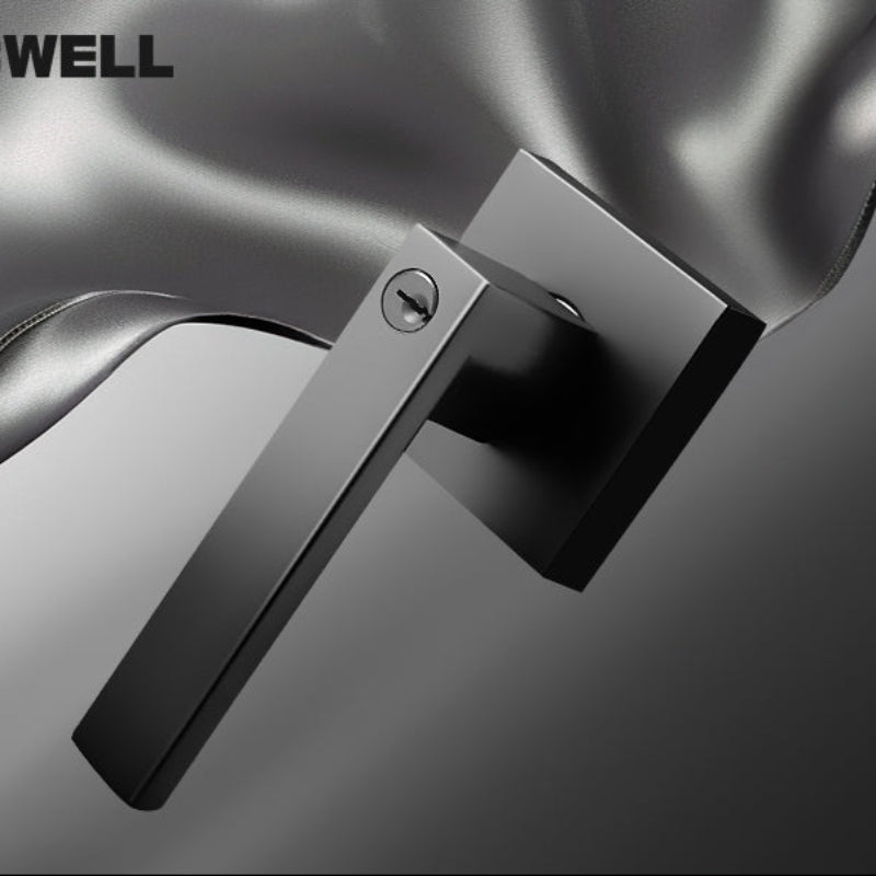 Close-up of KNOBWELL Modern Keyed Entry Door Handle With Lock and Different Keys