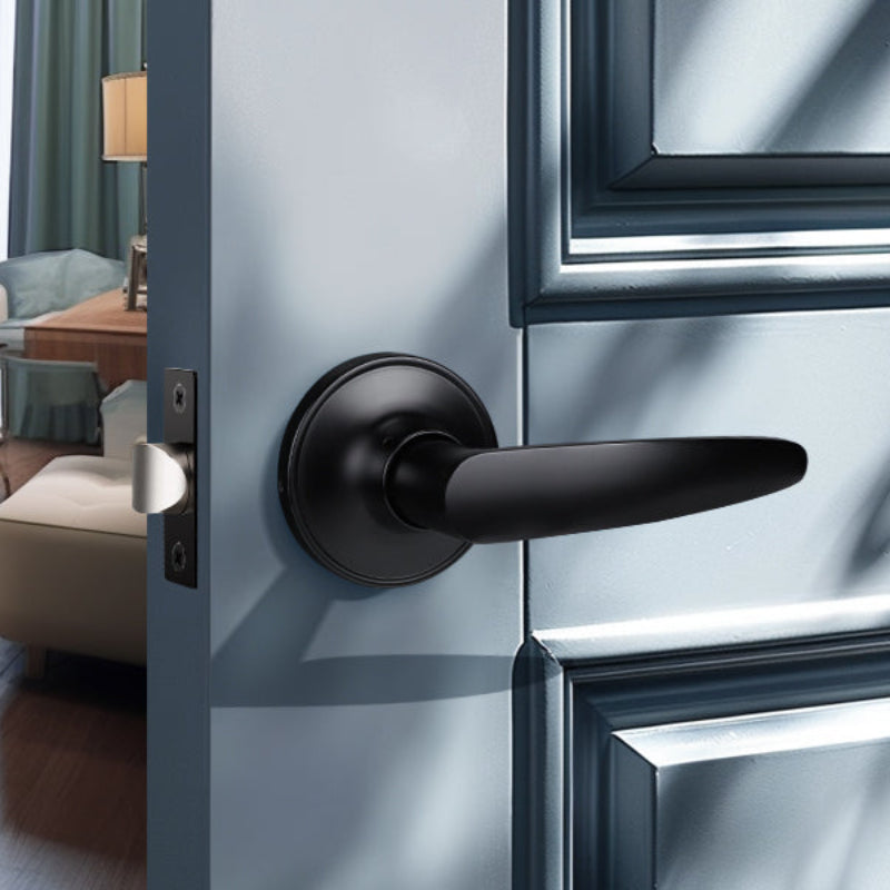 Front Door View of KNOBWELL Decorative Minimalist French Door Handle Set with Dummy Lever