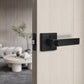 【Promotion on Bulk Sales】Craftsman Style Push Button Privacy Door Levers - DL01BK