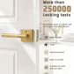 KNOBWELL Modern Knurled Design Door Handle, Various Function for Home Hardware
