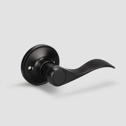 inactive door lever      